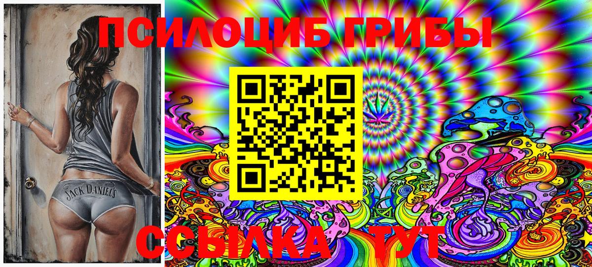 Галлюциногенные грибы Magic Shrooms  Вход с VPN  Псилоцибиновые грибы прущие грибы  Елабуга 